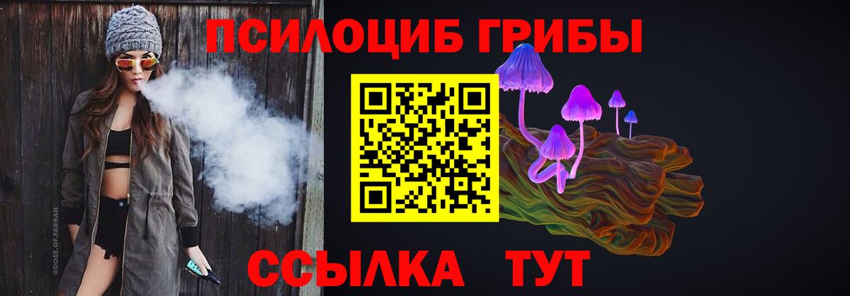 Псилоцибиновые грибы Psilocybine cubensis Сыктывкар